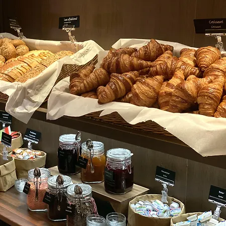 Fletcher Wellness-hotel מלון 4*